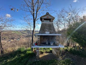 1256-AB-SCA--5-