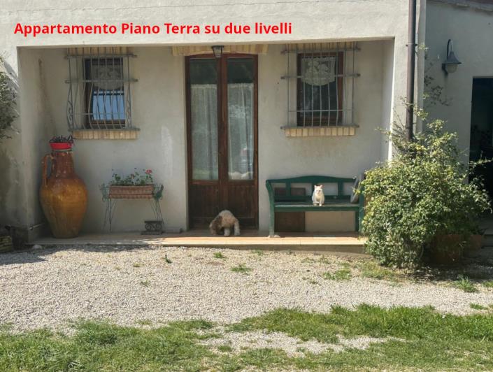 Image No.7-Propriété de 4 chambres à vendre à Atri