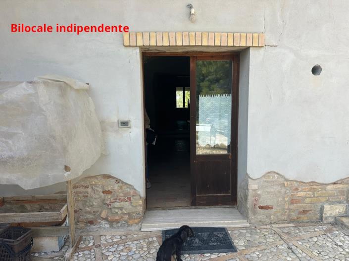 Image No.31-Propriété de 4 chambres à vendre à Atri