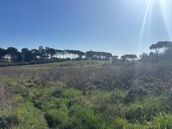 Image No.5-Land for sale