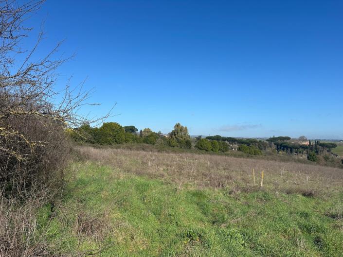Image No.6-Land for sale