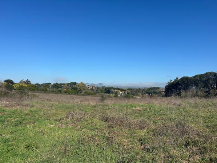 Image No.11-Land for sale
