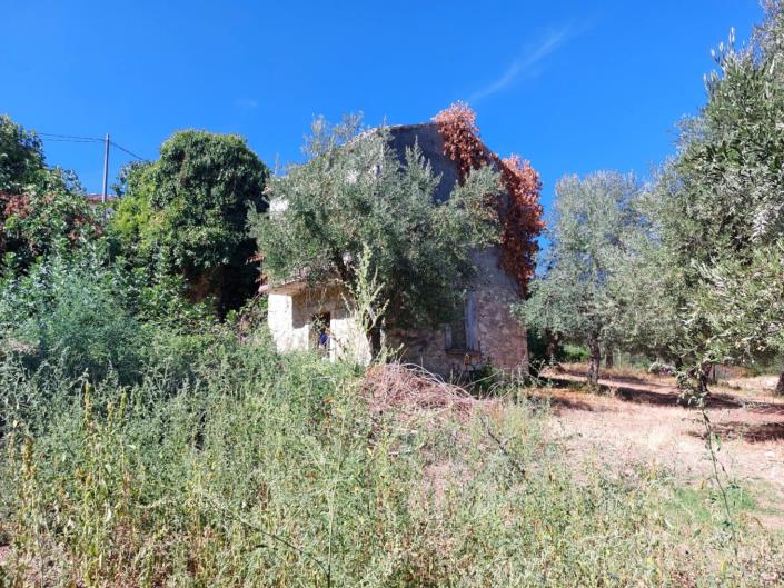 Image No.4-Property for sale
