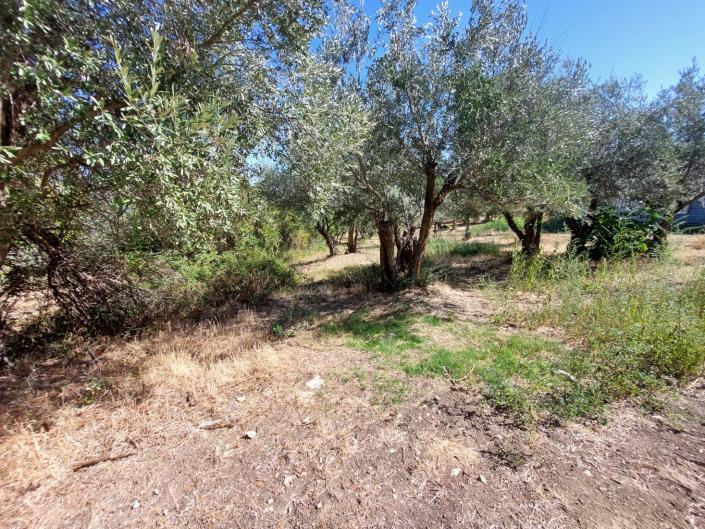 Image No.18-Property for sale