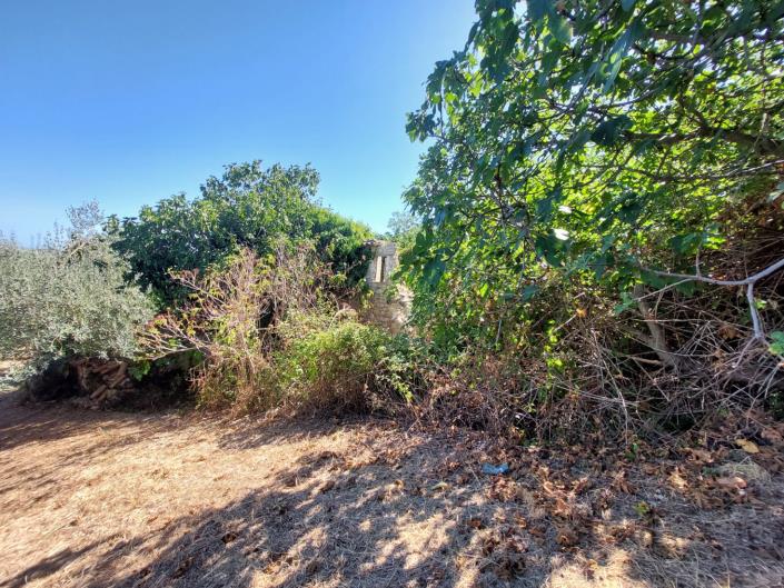 Image No.19-Property for sale