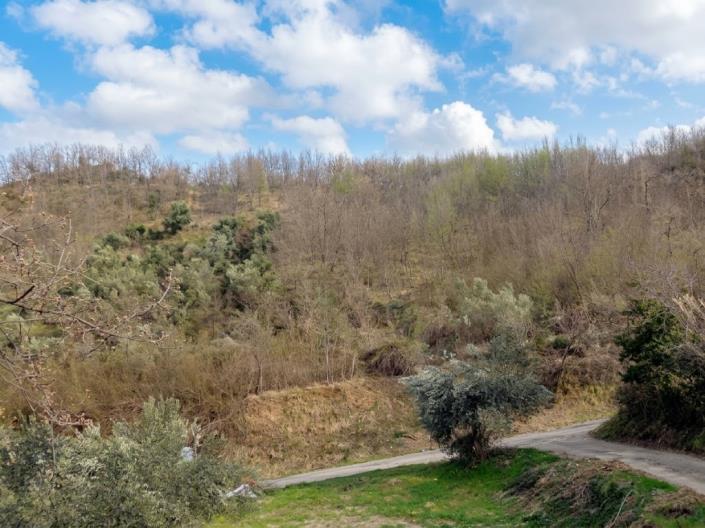 Image No.2-Land for sale