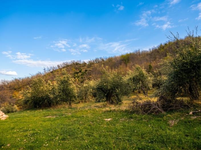 Image No.4-Land for sale