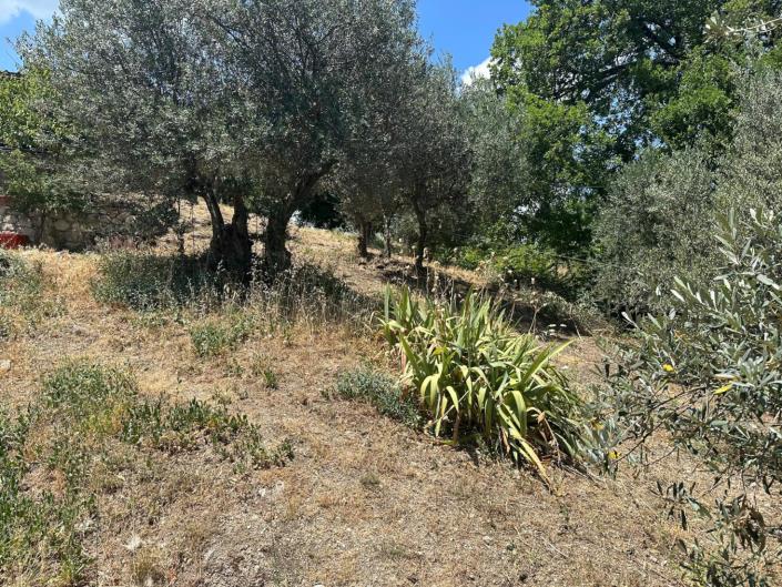 Image No.3-Land for sale