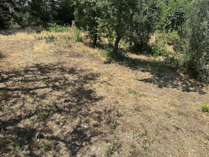 Image No.9-Land for sale