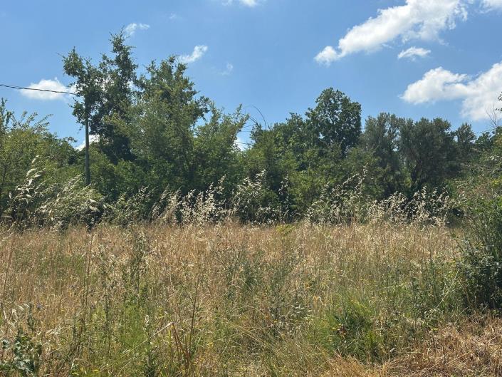 Image No.2-Land for sale
