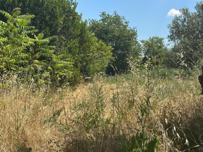 Image No.4-Land for sale
