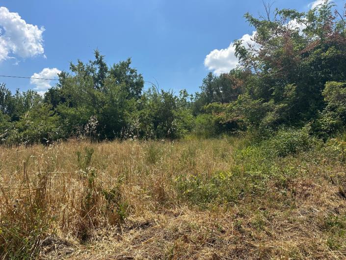 Image No.9-Land for sale