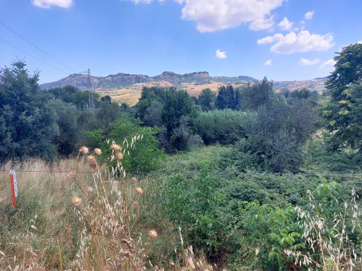 Image No.3-Land for sale