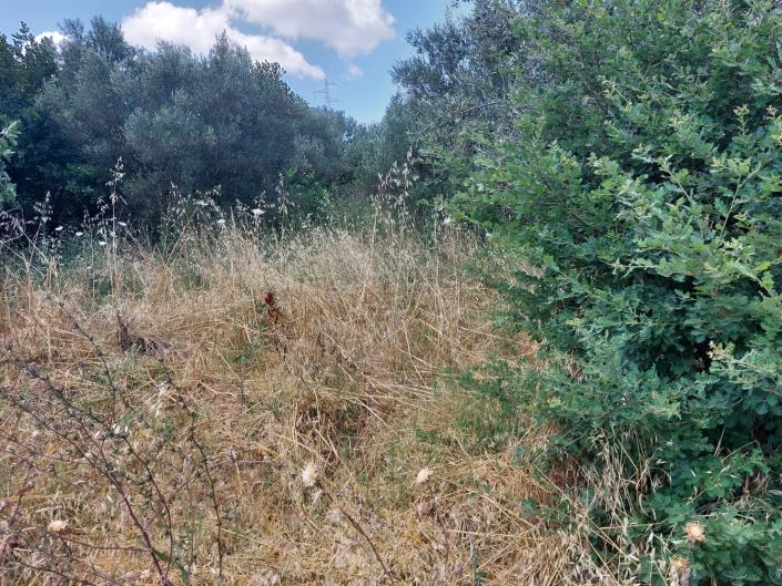 Image No.2-Land for sale