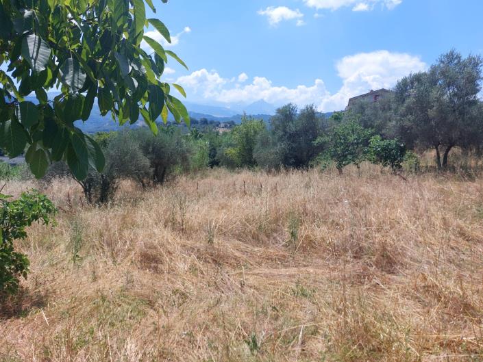 Image No.4-Land for sale