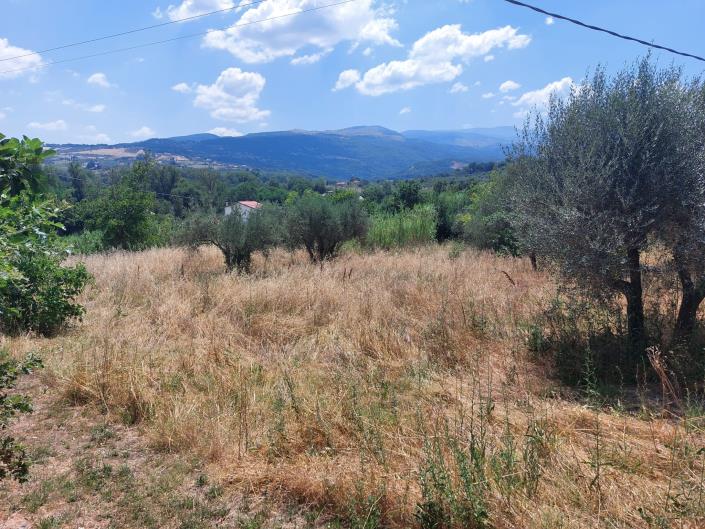 Image No.7-Land for sale