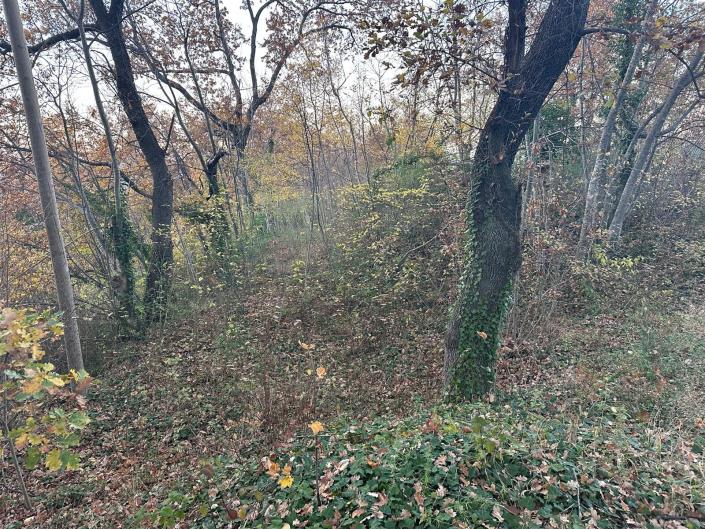 Image No.3-Land for sale