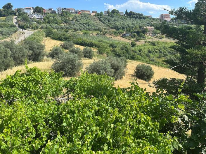 Image No.2-Land for sale