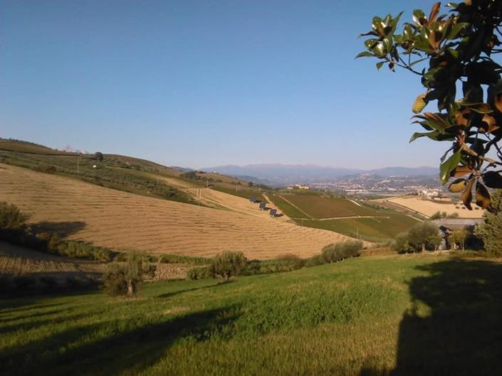 Image No.9-Land for sale