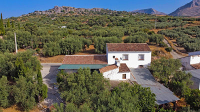 321-villa-for-sale-in-periana-27051-large