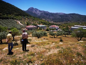 991-land-for-sale-in-periana-26964-large