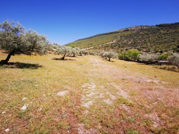 991-land-for-sale-in-periana-26965-large