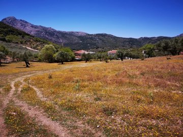 991-land-for-sale-in-periana-26953-large