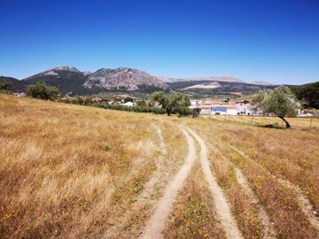 991-land-for-sale-in-periana-26955-large