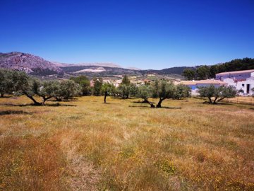 991-land-for-sale-in-periana-26958-large