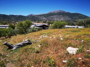 991-land-for-sale-in-periana-26961-large