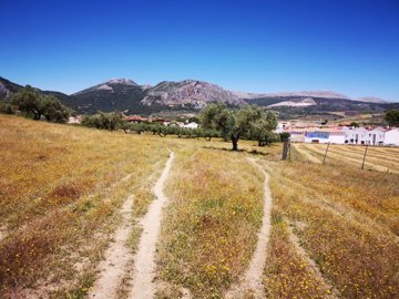 991-land-for-sale-in-periana-26956-large