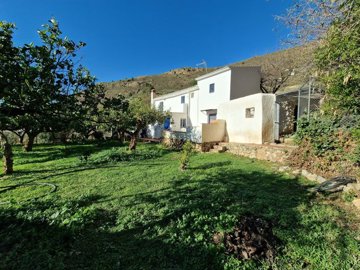 1167-villa-for-sale-in-alcaucin-35985-large