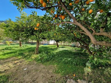 1167-villa-for-sale-in-alcaucin-35984-large