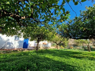 1167-villa-for-sale-in-alcaucin-35987-large