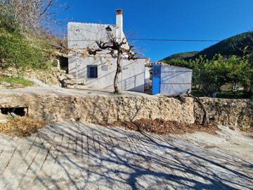 1167-villa-for-sale-in-alcaucin-35979-large