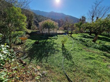 1167-villa-for-sale-in-alcaucin-35993-large