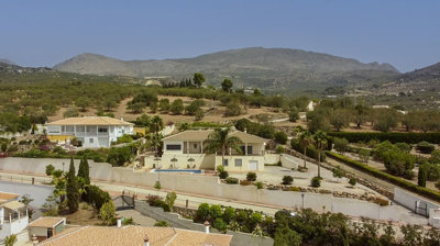 1211-villa-for-sale-in-periana-38963-large