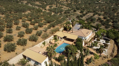 1226-villa-for-sale-in-periana-39757-large