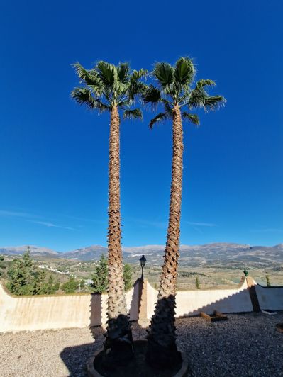 Image No.16-6 Bed Villa for sale