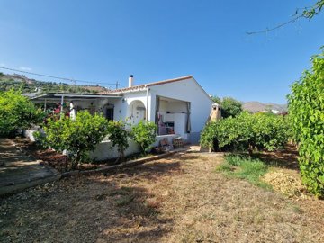 1302-villa-for-sale-in-alcaucin-43702-large