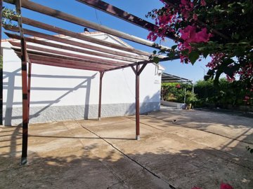 1302-villa-for-sale-in-alcaucin-43695-large