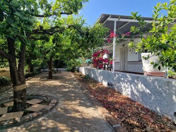 1302-villa-for-sale-in-alcaucin-43703-large