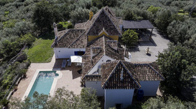 1338-villa-for-sale-in-periana-46640-large