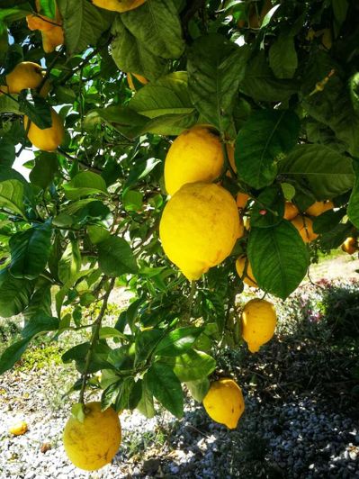 Image No.17-3 Bed Villa for sale