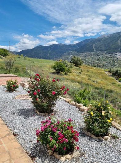 Image No.48-Villa de 3 chambres à vendre à Alcaucín