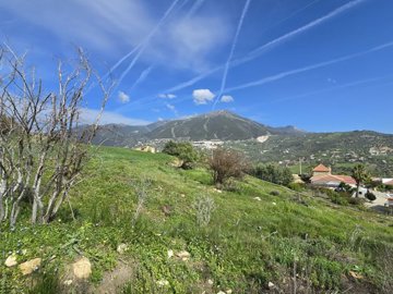 1348-villa-for-sale-in-alcaucin-46428-large