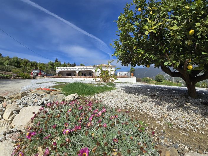 Image No.11-3 Bed Villa for sale