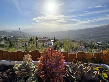 1347-villa-for-sale-in-alcaucin-46403-large