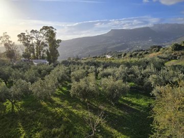 759-village-house-for-sale-in-alcaucin-46504-