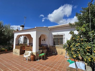 1352-village-house-for-sale-in-alcaucin-46728